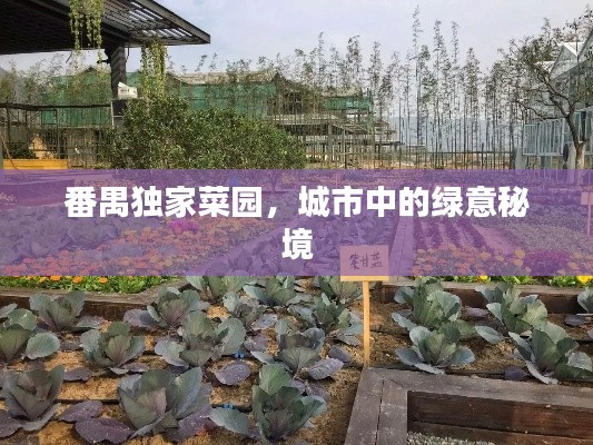 番禺獨(dú)家菜園，城市中的綠意秘境