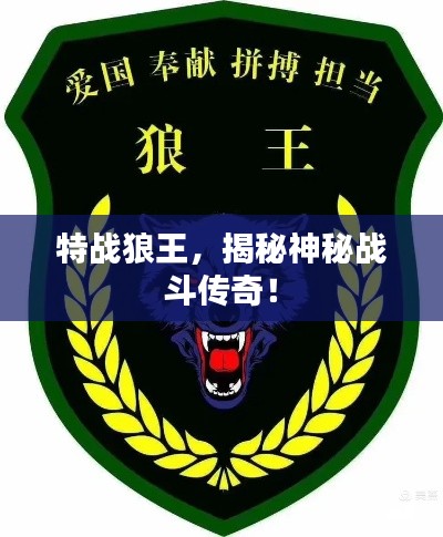 特戰(zhàn)狼王，揭秘神秘戰(zhàn)斗傳奇！
