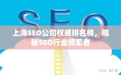 上海SEO公司權威排名榜，揭秘SEO行業(yè)領軍者