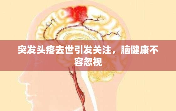 突發(fā)頭疼去世引發(fā)關(guān)注，腦健康不容忽視
