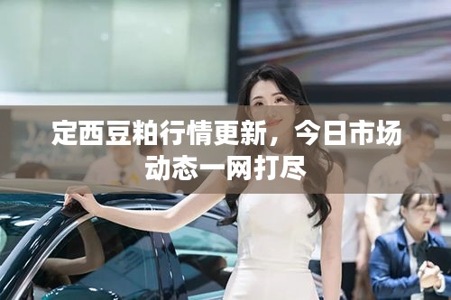 定西豆粕行情更新，今日市場(chǎng)動(dòng)態(tài)一網(wǎng)打盡