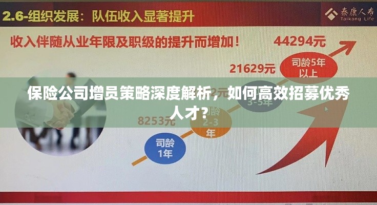 保險(xiǎn)公司增員策略深度解析，如何高效招募優(yōu)秀人才？