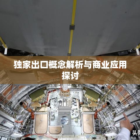 獨(dú)家出口概念解析與商業(yè)應(yīng)用探討