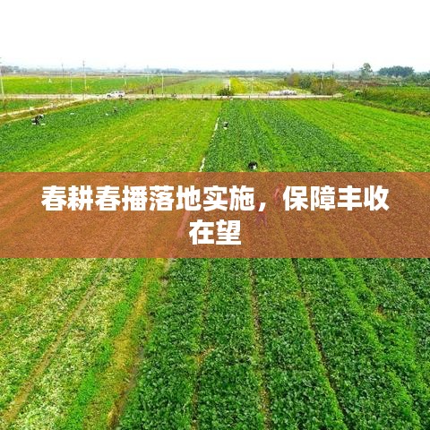春耕春播落地實施，保障豐收在望