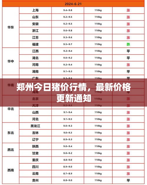 鄭州今日豬價行情，最新價格更新通知