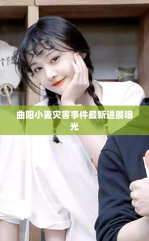 曲陽小麥災(zāi)害事件最新進展曝光