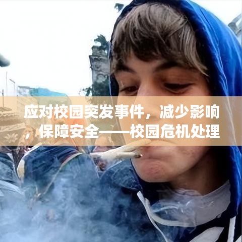 應(yīng)對校園突發(fā)事件，減少影響，保障安全——校園危機處理指南