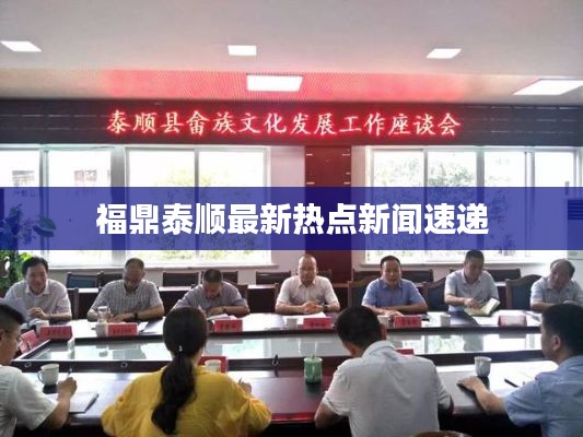 福鼎泰順最新熱點(diǎn)新聞速遞