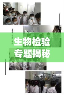 生物檢驗(yàn)專題揭秘，探索生命科學(xué)奧秘之旅