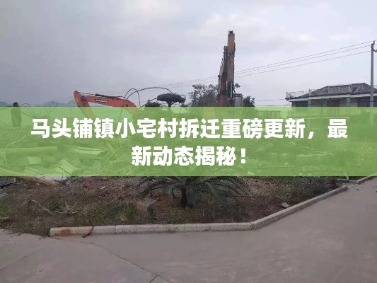 馬頭鋪鎮(zhèn)小宅村拆遷重磅更新，最新動態(tài)揭秘！