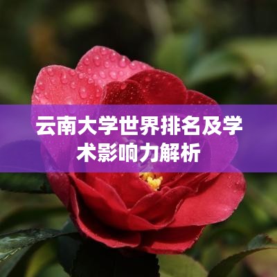云南大學(xué)世界排名及學(xué)術(shù)影響力解析