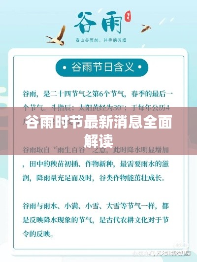 谷雨時(shí)節(jié)最新消息全面解讀