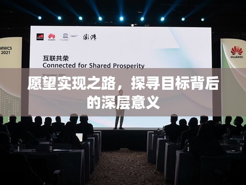 愿望實現(xiàn)之路，探尋目標背后的深層意義
