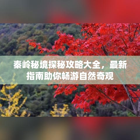屨賤踴貴 第2頁(yè)