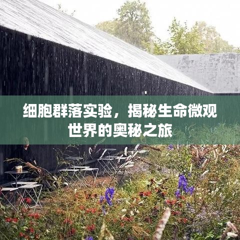 屈高就下 第2頁