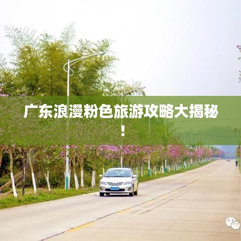 廣東浪漫粉色旅游攻略大揭秘！