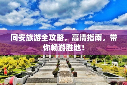笨鳥先飛 第2頁