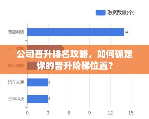 公司晉升排名攻略，如何確定你的晉升階梯位置？