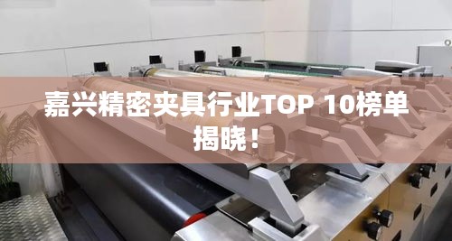嘉興精密夾具行業(yè)TOP 10榜單揭曉！