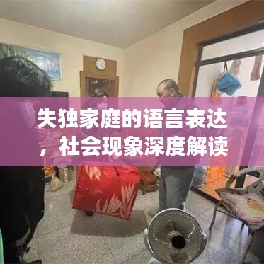 失獨(dú)家庭的語言表達(dá)，社會現(xiàn)象深度解讀與思考