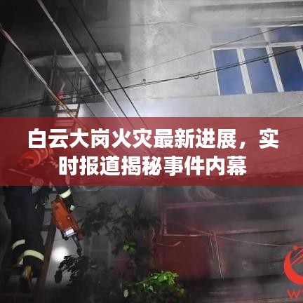 白云大崗火災最新進展，實時報道揭秘事件內幕