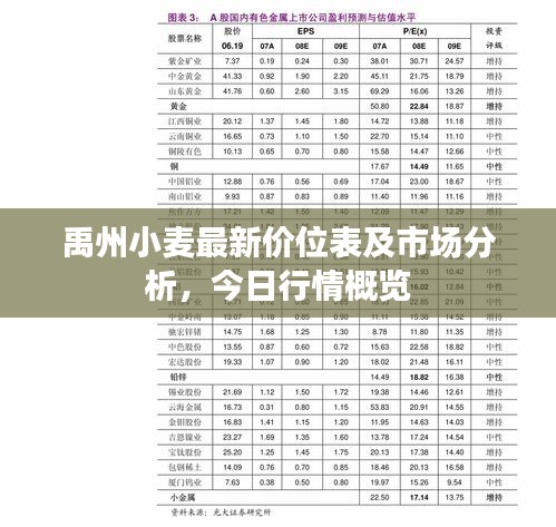 禹州小麥最新價(jià)位表及市場分析，今日行情概覽