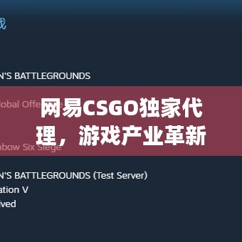 網(wǎng)易CSGO獨家代理，游戲產(chǎn)業(yè)革新引領(lǐng)共贏時代