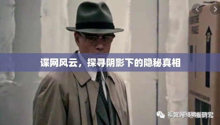 諜網(wǎng)風(fēng)云，探尋陰影下的隱秘真相