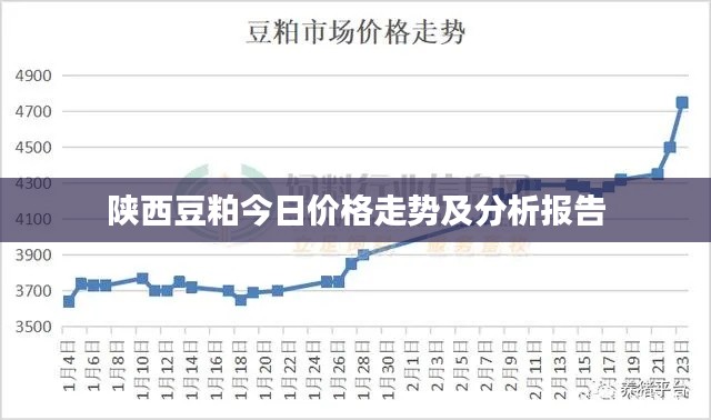 陜西豆粕今日價(jià)格走勢及分析報(bào)告