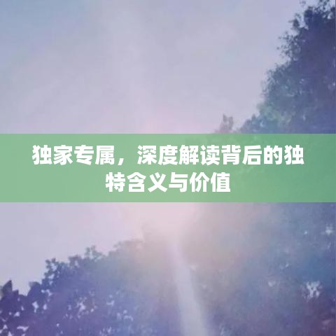 獨(dú)家專屬，深度解讀背后的獨(dú)特含義與價(jià)值