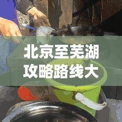 行百里者半九十 第2頁(yè)