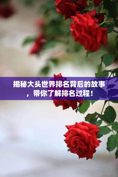 揭秘大頭世界排名背后的故事，帶你了解排名過(guò)程！