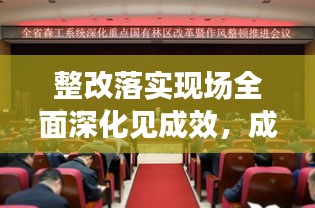 整改落實現(xiàn)場全面深化見成效，成效提升重塑新面貌