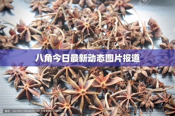 八角今日最新動態(tài)圖片報(bào)道