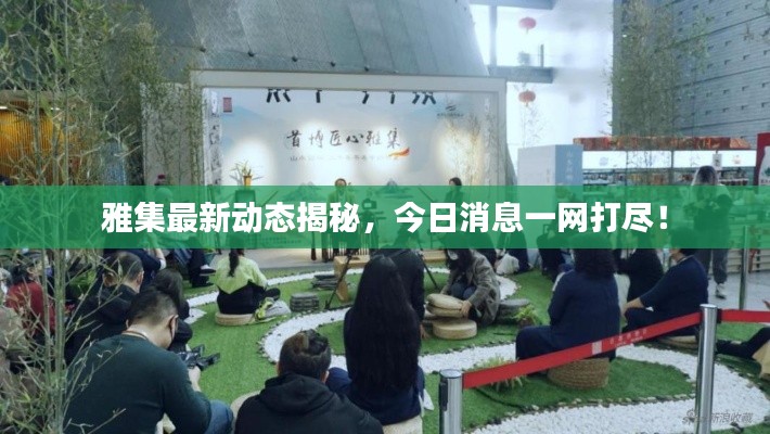 雅集最新動(dòng)態(tài)揭秘，今日消息一網(wǎng)打盡！