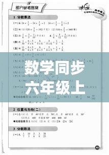 數(shù)學(xué)同步六年級上冊最新版知識點解析及高效學(xué)習方法全攻略