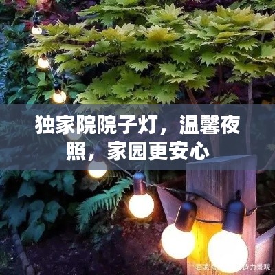 獨(dú)家院院子燈，溫馨夜照，家園更安心