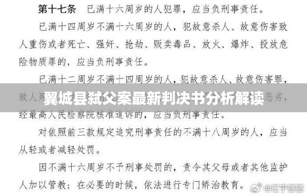 翼城縣弒父案最新判決書分析解讀