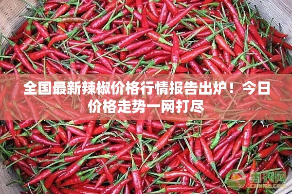 全國最新辣椒價格行情報告出爐！今日價格走勢一網(wǎng)打盡
