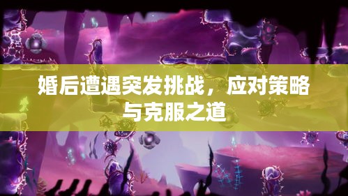 婚后遭遇突發(fā)挑戰(zhàn)，應(yīng)對策略與克服之道
