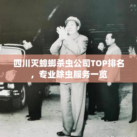 四川滅蟑螂殺蟲公司TOP排名，專業(yè)除蟲服務(wù)一覽