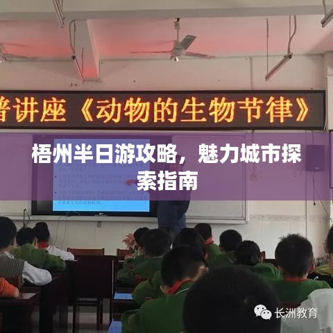 慘淡經(jīng)營 第2頁