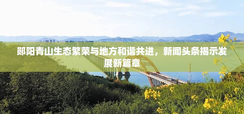 鄖陽青山生態(tài)繁榮與地方和諧共進(jìn)，新聞?lì)^條揭示發(fā)展新篇章
