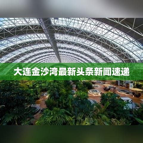 大連金沙灣最新頭條新聞速遞