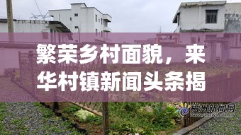 繁榮鄉(xiāng)村面貌，來(lái)華村鎮(zhèn)新聞?lì)^條揭秘發(fā)展之路