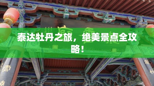 泰達(dá)牡丹之旅，絕美景點(diǎn)全攻略！