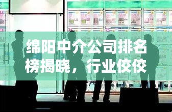 綿陽中介公司排名榜揭曉，行業(yè)佼佼者一網(wǎng)打盡！