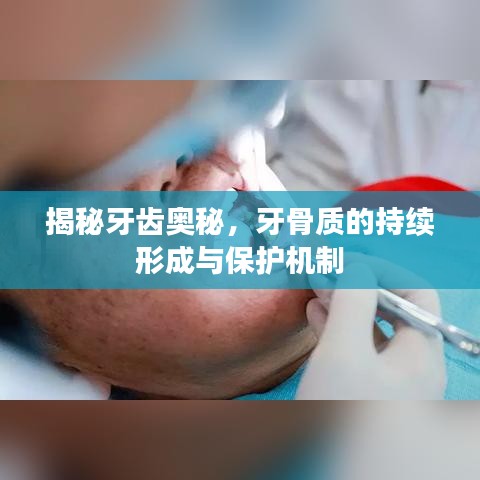 揭秘牙齒奧秘，牙骨質(zhì)的持續(xù)形成與保護(hù)機(jī)制