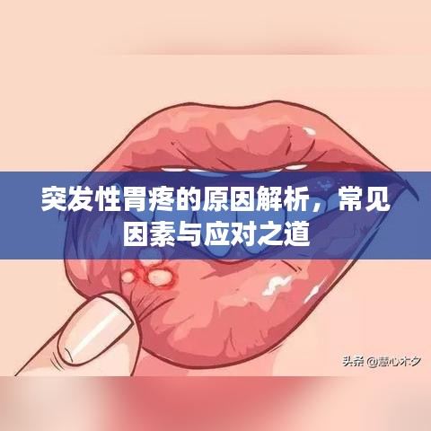 突發(fā)性胃疼的原因解析，常見因素與應(yīng)對(duì)之道