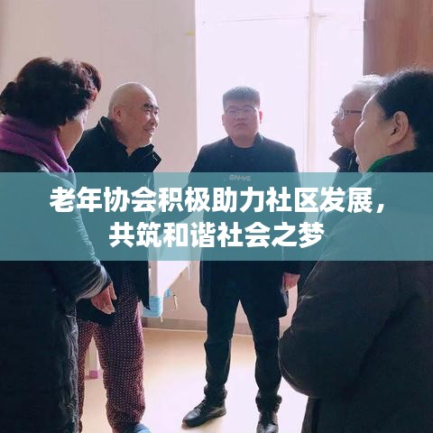 老年協(xié)會(huì)積極助力社區(qū)發(fā)展，共筑和諧社會(huì)之夢(mèng)